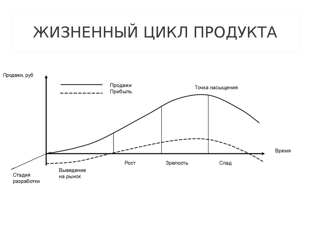 Срок жизни проекта это