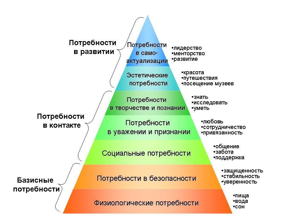 Что было взято за основу при формировании картины успеха fit