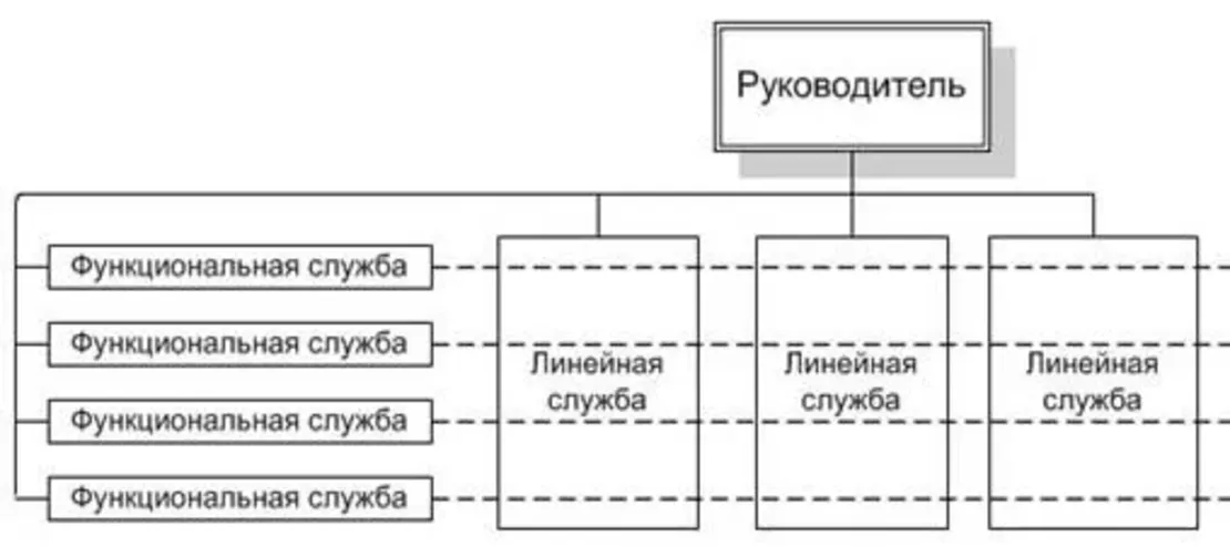 Функциональная роль в процессе производства. Централизованная функциональная структура. Линейно-штабная организационная структура. Функциональная структура управления рисками предприятия. Руководители функциональных служб.