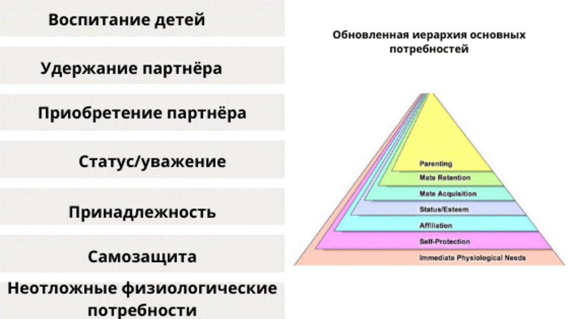 Иерархическая модель потребностей Маслоу. Пирамида потребностей профессия. Дерево потребностей человека. 9 Базовых потребностей человека.